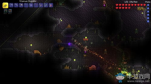 我的世界官方网下载和单机版泰拉瑞亚,实地考察数据策略_Z_v1.597