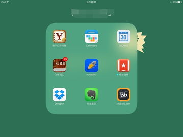ipad官方应用下载跟单机版记账软件免费,全面评估解析说明 复古版_v1.471