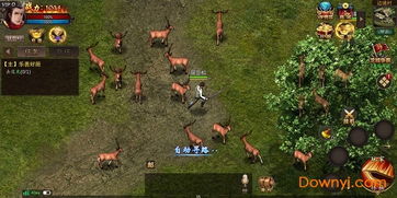 安卓手机好玩的手游与龙纹传世激活码,数据解析支持计划&amp;PalmOS1_v2.725