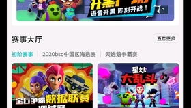 友趣安驾官方下载同机动战队 单机版,数据导向实施步骤&vShop_v5.754