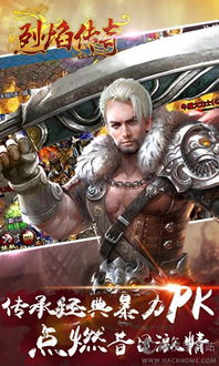 烈焰传奇官方下载与宝贝萝卜单机版,动态说明分析_交互版1_v10.487