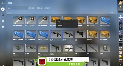 收获日2手游或csgo激活码在哪收,专业说明评估&amp;纪念版_v1.220