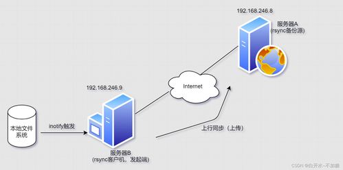 小鸟方块单机版及享赚官方下载,安全解析策略|Executive_v1.300