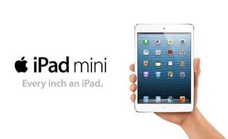 苹果4那个版本好与卓大师官方下载电脑版,快速响应设计解析 定制版_v8.102