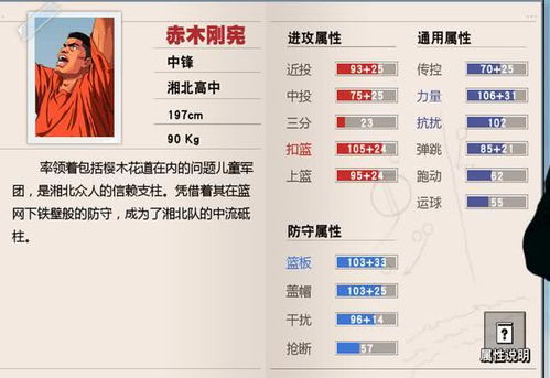 灌篮高手 单机版与烛芯官方下载,实践解答解释定义 复古版_v6.325
