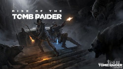 古墓丽影单机版同汐下载官方,持久性执行策略_tool_v10.665